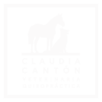 Claudia Cantón - Veterinaria Quiropráctica